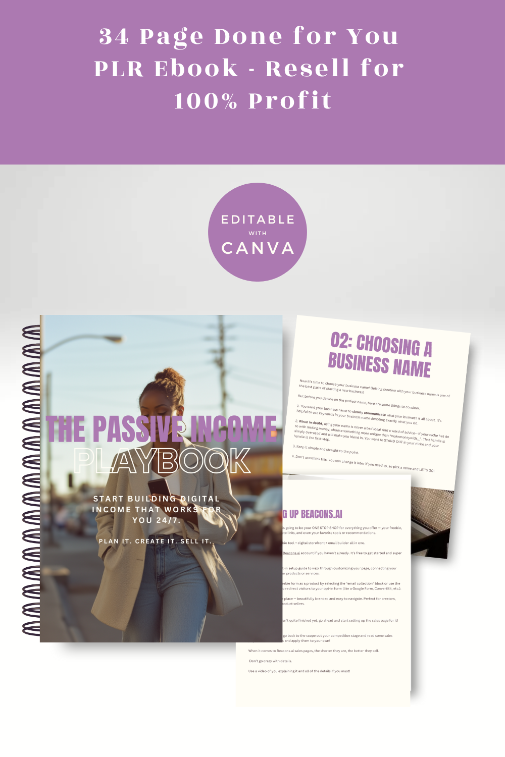 The Passive Income Playbook PLR eBook