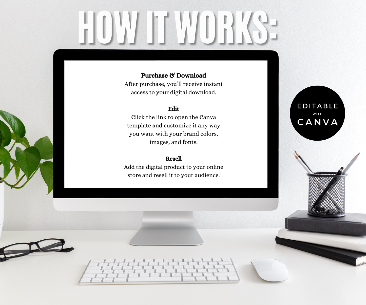 Digital Marketing for Beginners MRR Bundle