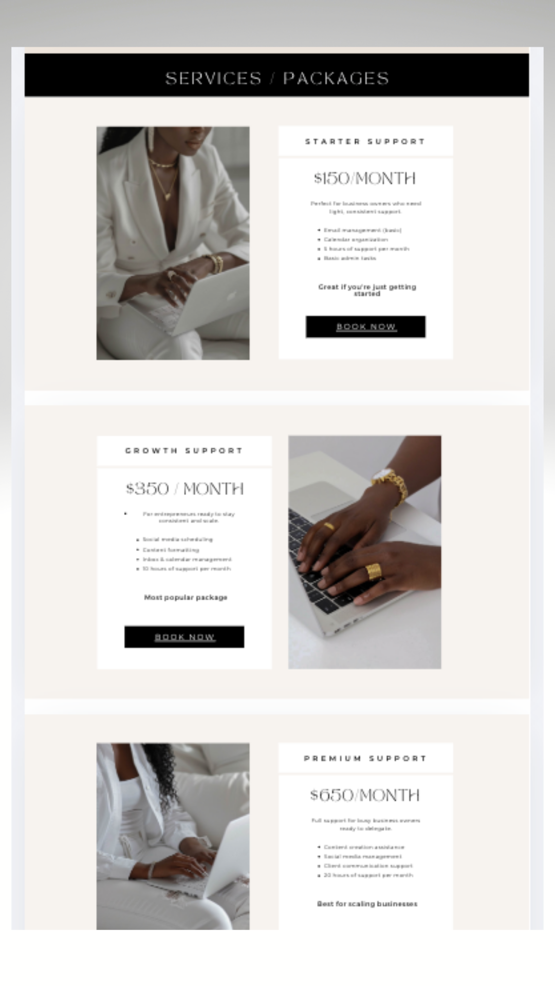 PLR Virtual Assistant Canva Website Template