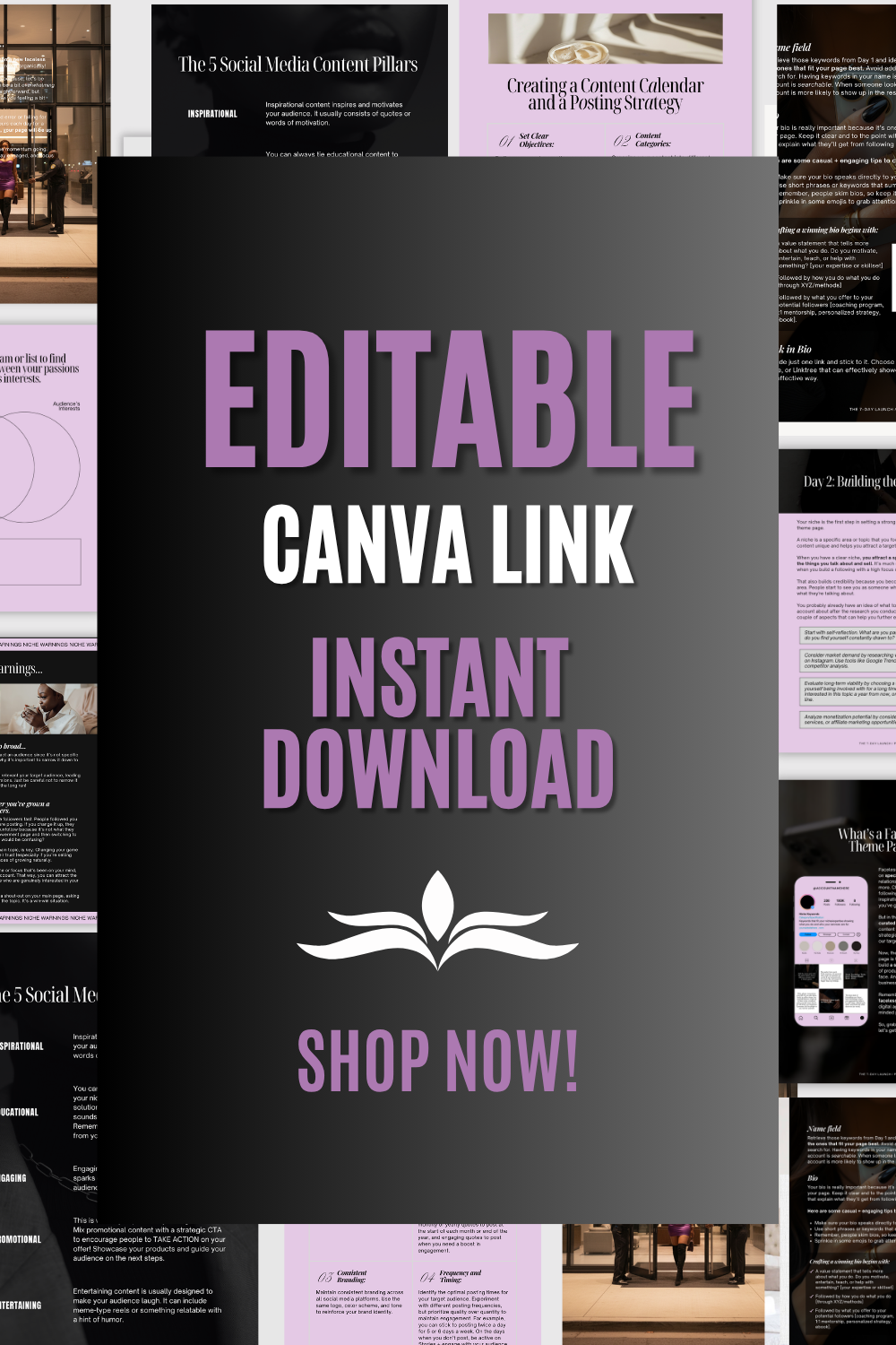 Theme Page Mastery: Build, Grow & Monetize in 7 Days