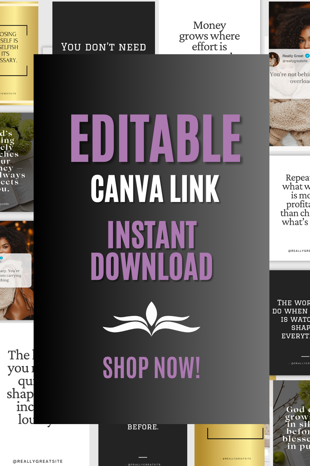 Promotional graphic for an editable Canva link with text and a 'Shop Now!' call to action.