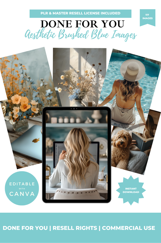 Collection of aesthetic images with text about PLR, resell rights, and Canva editing.
