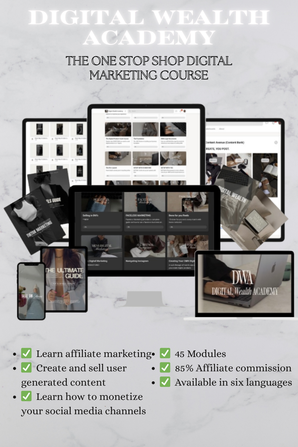 Digital Wealth Academy advertisement with course modules and benefits on a gray background